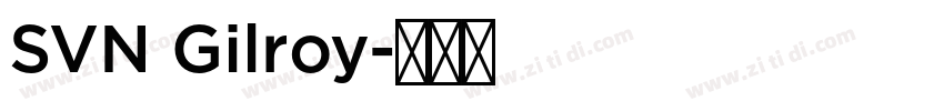SVN Gilroy字体转换